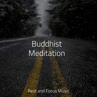 Thumbnail for the Study Zone - Peaceful Melodies | Absolute Serenity link, provided by host site