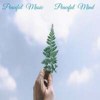 Thumbnail for the Peaceful Music - Peaceful Mind link, provided by host site