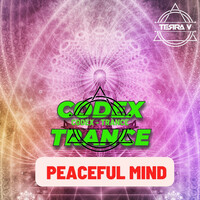 Thumbnail for the Terra V. - Peaceful Mind (Extended Mix) link, provided by host site