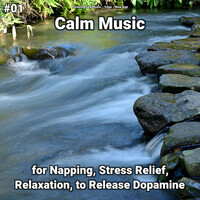 Thumbnail for the Yoga - Peaceful Music link, provided by host site