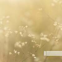 Thumbnail for the Sleep Music - Peaceful Music link, provided by host site