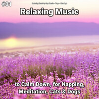 Thumbnail for the Yoga - Peaceful Music link, provided by host site