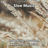 Thumbnail for the New Age - Peaceful Music link, provided by host site