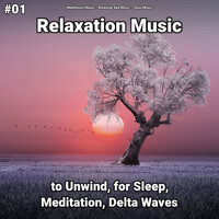 Thumbnail for the Relaxing Spa Music - Peaceful Music link, provided by host site