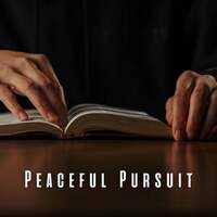 Thumbnail for the Reading and Studying Music - Peaceful Pursuit: Meditation Piano for Mindful Study link, provided by host site