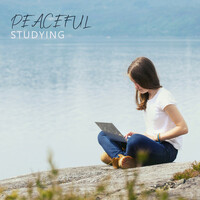 Thumbnail for the Calm Music for Studying - Peaceful Studying: Mindfulness Study Music, Ambient Music for Concentration, Easy Learning link, provided by host site