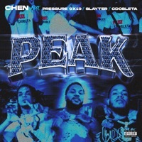 Thumbnail for the Chen - Peak [Remix] link, provided by host site