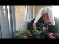 Thumbnail for the Scruffpuppie - pebbles- an original song link, provided by host site