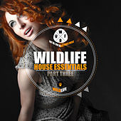 Thumbnail for the Brett Gould - Pebbles (Kevin McKay Remix) link, provided by host site