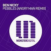 Thumbnail for the Ben Nicky - Pebbles (Remixed) link, provided by host site