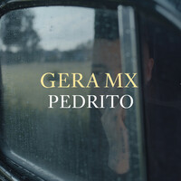 Thumbnail for the Gera MX - Pedrito link, provided by host site