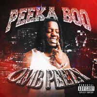 Thumbnail for the OMB Peezy - Peeka Boo link, provided by host site