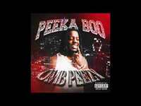 Thumbnail for the OMB Peezy - Peeka Boo link, provided by host site