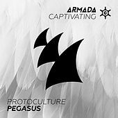 Thumbnail for the Protoculture - Pegasus link, provided by host site