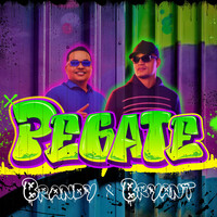 Thumbnail for the Brandy - Pegate link, provided by host site