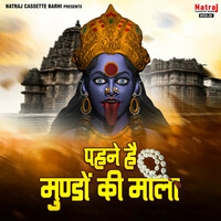 Thumbnail for the Sanjay - Pehne Hai Mundo Ki Mala link, provided by host site