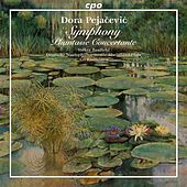 Thumbnail for the Ari Rasilainen - Pejacevic: Symphony in F sharp minor, Op. 41 - Phantasie concertante link, provided by host site