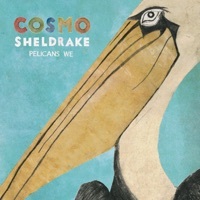Thumbnail for the Cosmo Sheldrake - Pelicans We link, provided by host site