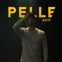 Thumbnail for the Aste - Pelle link, provided by host site
