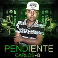 Thumbnail for the Carlos B - Pendiente link, provided by host site