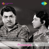 Thumbnail for the C. S. Jayaraman - Penne Un Gathi link, provided by host site