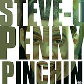 Thumbnail for the Steve-O - Penny Pinchin' link, provided by host site
