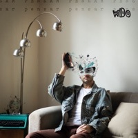 Image of Wido linking to their artist page due to link from them being at the top of the main table on this page