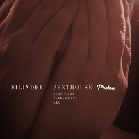 Thumbnail for the GRG - Penthouse - GRG Deep Remix link, provided by host site