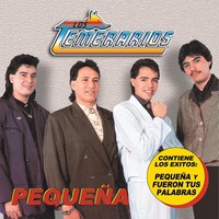 Thumbnail for the Los Temerarios - Pequeña link, provided by host site