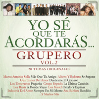 Thumbnail for the Los Temerarios - Pequeña link, provided by host site