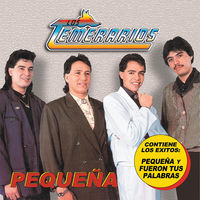 Thumbnail for the Los Temerarios - Pequeña link, provided by host site