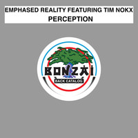 Thumbnail for the Emphased Reality - Perception link, provided by host site