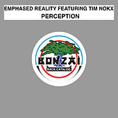 Thumbnail for the Emphased Reality - Perception link, provided by host site