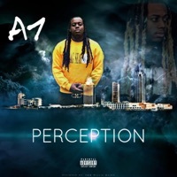 Thumbnail for the A1 - Perception link, provided by host site