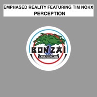 Thumbnail for the Emphased Reality - Perception link, provided by host site