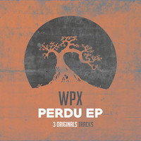 Thumbnail for the WpX - Perdu link, provided by host site