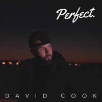 Thumbnail for the David Cook - Perfect link, provided by host site