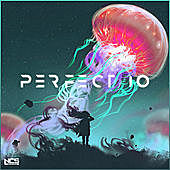 Thumbnail for the Unknown Brain - Perfect 10 (Unknown Brain & Rudelies Vip) link, provided by host site