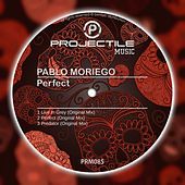 Thumbnail for the Pablo Moriego - Perfect link, provided by host site