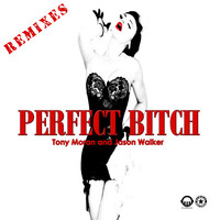Thumbnail for the Tony Moran - Perfect Bitch (Remixes) link, provided by host site