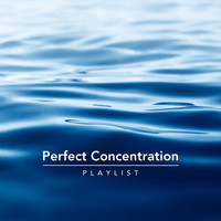 Thumbnail for the Chris Snelling - Perfect Concentration Playlist link, provided by host site