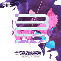 Thumbnail for the Joan Reyes - Perfect Crime link, provided by host site