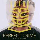 Thumbnail for the Nause - Perfect Crime link, provided by host site