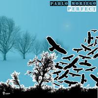 Thumbnail for the Pablo Moriego - Perfect link, provided by host site