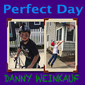Thumbnail for the Danny Weinkauf - Perfect Day link, provided by host site