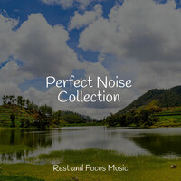 Thumbnail for the Sleep Songs 101 - Perfect Noise Collection link, provided by host site