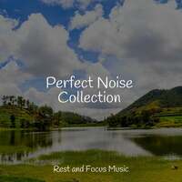 Thumbnail for the Sleep Songs 101 - Perfect Noise Collection link, provided by host site