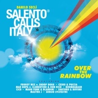 Thumbnail for the Danilo Seclì - Perfect One link, provided by host site