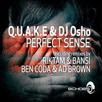 Thumbnail for the DJ Osho - Perfect Sense link, provided by host site