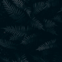 Thumbnail for the Asian Zen Meditation - Perfect Sounds | Meditation and Sleep link, provided by host site